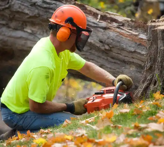 tree services Sunset Beach